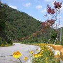 금계초등학교 이미지