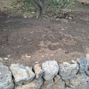 상효동-6 이미지