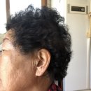 양산신-9114 | [보청기 착용 사례] 밀양 신OO님 보청기 착용/ 밀양 맛집 행랑채