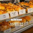 브레드9(Bread9) | 기흥구청 맛집 구갈동 빵집 하면 생각나는 브레드랩 소금빵