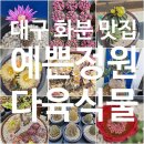 대구 다육식물/선인장/원예화혜농원/부모님 선물로도 좋은 [예쁜정원 다육식물] 내돈내산 찐후기 ♡