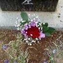 신명인터네셔널 이미지