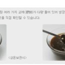 튼튼마디주