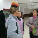 대한적십자사 서울지사 수품센터 Daum카페