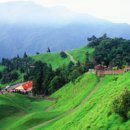 경관농장 이미지