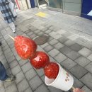 왕가탕후루 이미지