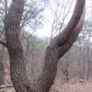 새울신협 이미지