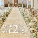 모닝플랜하우스