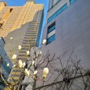 오늘의기분 이미지