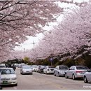 황령산순환도로 이미지