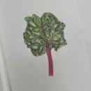 기초 보태니컬아트 기법 이미지