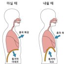 도린필라테스&키즈스튜디오