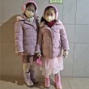 홈런PC | 디알고 JBL 유아 아동 키즈 헤드셋 비교 분석 후기 및 추천