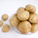 아이맘마 이미지