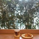 콜렉티보 안암설성점 이미지