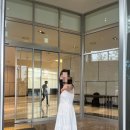 아름다운 여행 | 비엔나 여행 후기 : 아름다운 동유럽의 보석✨️