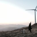 영산목장 이미지