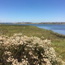 하늘보라 이미지