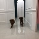태자미용실