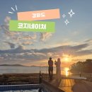 코지네이쳐 | 강화도 애견동반 펜션 추천 코지네이쳐 자쿠지 노을 맛집