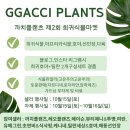 플랜츠비 이미지