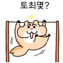 우노클린 이미지