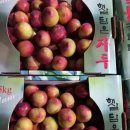 병준농장 이미지