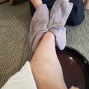 스위트메이서귀포호텔 이미지