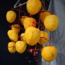 진수농장 이미지