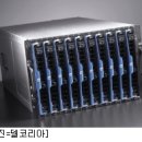 마,델
