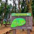 GS25거제오션자이점 이미지