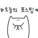 산호동252 이미지