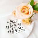 오승근/장미꽃 한송이[로즈데이] 이미지