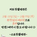 소로동물병원 이미지