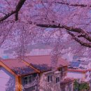 태종대신협 | 부산 디딤돌카드: 자세한 사용 가이드