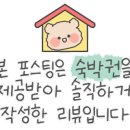 섶섬 아우룸 이미지