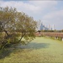 갈대습지공원 이미지