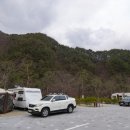 용화루손짜장 | [217] 벚꽃캠핑은 이곳에서