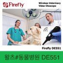 왈츠동물병원 이미지