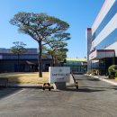 삼영엠티(주) 이미지