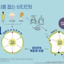 파동헬스 이미지