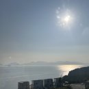 파리에다녀온치킨선운송정점 | [개도여행] 여수 개도 2박 3일 여행 후기(with 하화도)