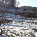 우두산길 이미지