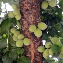 반월마을회관 이미지