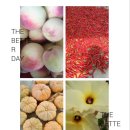 두두농장 이미지