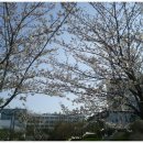 용 당구장 이미지