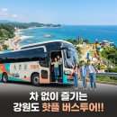 영진월드투어