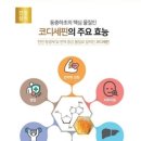 큐사랑공간