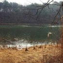 구불5길(물빛길) 이미지