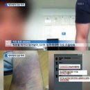 인분교수 위자료 130만원… 이미지